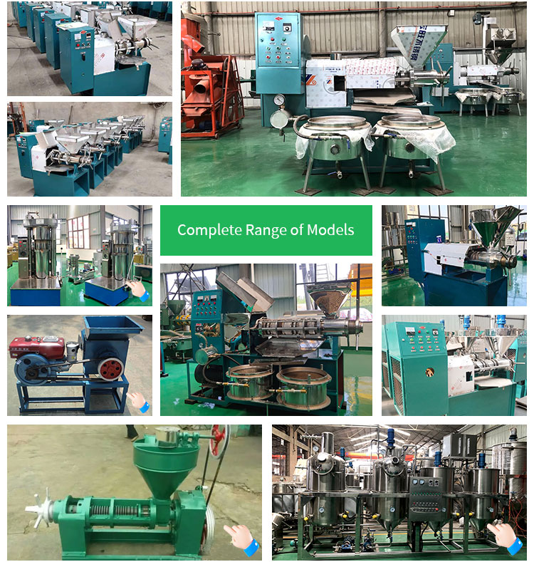 Commercial ZX-95 Cold Press Oil Machine 15HP Automatic Castor Seed