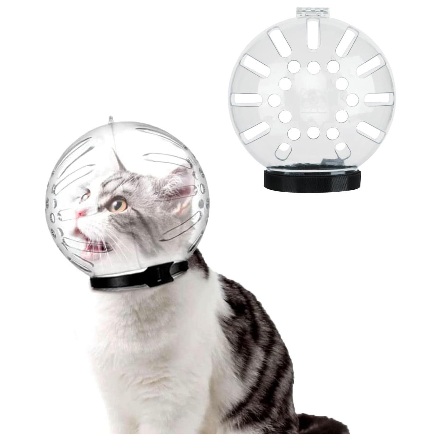 กลมโปร่งใส