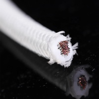 4mm 6mm 10mm 16mm 25mm 35mm 50mm 70mm Silikon-Isoliertes Glasfaserkabel Hitzebeständiger Draht für Öfen