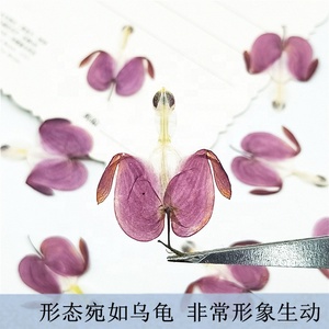 12pcs/pack Bleeding <strong>Heart</strong> Pressed Botanical <strong>for</strong> Candle Making DIY <strong>Craft</strong> Resin Art Frame Home Deco. - Product Image 6