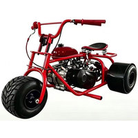 FRANFUN Garantía de Calidad, Mini Trike de Gasolina de 212cc, 45KM/H, Alta Velocidad, Karts de Derrape, Motocicleta Compacta de 3 Ruedas