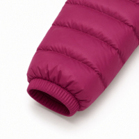 Veste courte matelassée à capuche bordeaux pour femme, manteau d'hiver chaud et matelassé, veste décontractée coupe-vent en duvet pour femmes