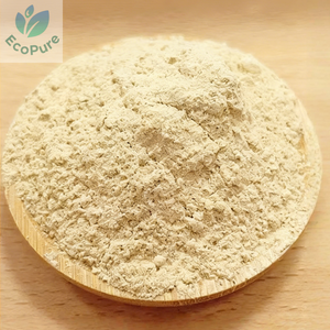 Organik Kurutulmuş <span class=keywords><strong>Shiitake</strong></span> Mantarı Tozu Doğal Mevsimlik <span class=keywords><strong>Shiitake</strong></span> Ekstresi Zengin Besin İçerikli - Product Image 3