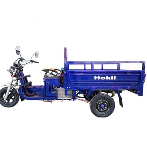 Nuevo 3 Ruedas Barato <span class=keywords><strong>125cc</strong></span> Trike Motocicleta 3 Ruedas Gasolina Motocicleta 3 Ruedas Motocicleta Adultos Triciclo - Product Image 2