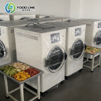 Hoogwaardige mini-vriesdroger voor kleine schaal voedselverwerking van fruit, groenten en snacks
