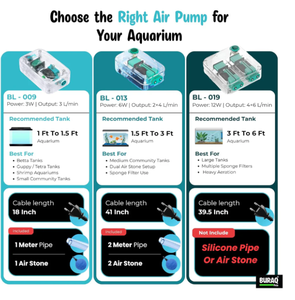 Bomba de Aire Ultra Silenciosa para Acuario, Bomba de Oxígeno Silenciosa con Salida Única para Acuarios de Agua Dulce y Peces Tropicales - Product Image 5