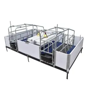 PVC Fenced European Sows Gestation Cages/litter Boxes For Use On Pig Farms