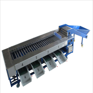 Máquina de clasificación de fruta cítrica, rodillo comercial de alta calidad, tipo de fruta de arándano, a <span class=keywords><strong>precio</strong></span> de fábrica - Product Image 6