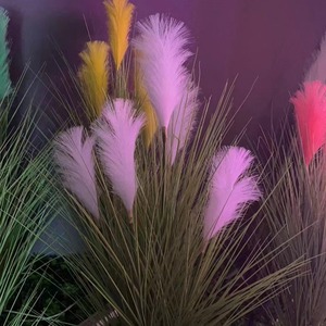 Lámpara LED de Jardín con 5 Cabezas, IP65 Impermeable, para Exteriores - Product Image 5