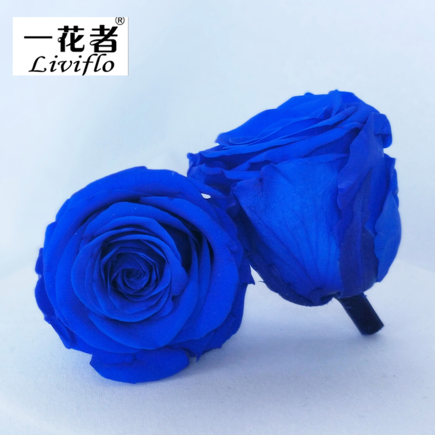 Bleu foncé