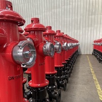Tuyau de support de borne d'incendie de type pilier au sol Ca-Fire DN100 borne d'incendie française extérieure
