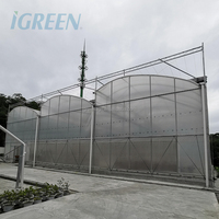 IGreen Tunnel Fraise Serres à Vendre Prix de M2 Serre Agricole