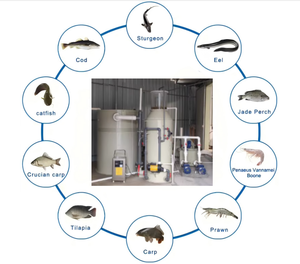 Skimmer de Proteínas para Piscicultura de Agua Fría, Alta Eficiencia de Espumación a Baja Temperatura para Salmones - Product Image 2