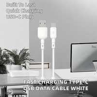Cable de Datos USB Tipo-C de Fábrica, 2A, Carga Rápida, con Malla de Protección, Color Blanco, para Teléfono Móvil, Computadora, Cámara y Banco de Energía, 1.2m