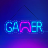 Enseigne néon LED alimentée par USB pour salle de jeu, lumière murale personnalisée pour zone de jeu, chambre, bar, décoration de fête pour gamer, ou man cave.
