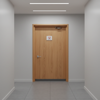 Porte en bois massif ignifuge moderne et écologique avec finition personnalisée, homologuée pour une utilisation intérieure dans les appartements, les cuisines et les hôtels