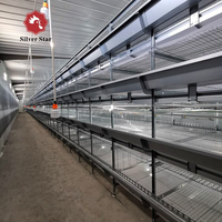Cage à poulettes de type H Silver Star pour élevage avicole, poussins verticaux avec système de collecte de fumier, Q235 galvanisé à chaud