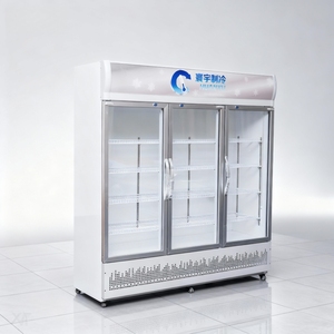 Refrigerador Comercial para Supermercados, Refrigerador <span class=keywords><strong>de</strong></span> Exhibición con Enfriamiento por Aire para Bebidas, <span class=keywords><strong>CocaCola</strong></span>, Pepsi, Otras Bebidas, Uso en Tiendas <span class=keywords><strong>de</strong></span> Helados - Product Image 5