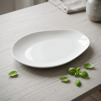 Nouvelle assiette ovale en porcelaine fine 14"/12" pour poisson, idéale pour les réceptions, en blanc