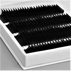 LashPlus faux vison noir mat Volume foncé facile ventilateurs plateaux à cils extensions de cils grande boîte vente en gros