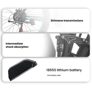 Bicicleta Eléctrica de Montaña Europea de 26 Pulgadas con Neumáticos Gruesos 4.0, Cuadro de Aluminio Softtail, 21 Velocidades, Frenos de Disco, Motor sin Escobillas de Alta Velocidad - Product Image 2