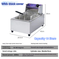 Friteuse Électrique Commerciale 10L Professionnelle de Haute Qualité pour Frites, en Acier Inoxydable 304, 2000W