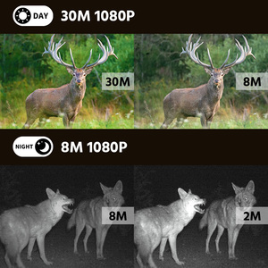<span class=keywords><strong>Caméra</strong></span> <span class=keywords><strong>de</strong></span> <span class=keywords><strong>chasse</strong></span> et <span class=keywords><strong>de</strong></span> surveillance WILLFINE 4G avec vision nocturne, 32MP, 1080P HD, pour <span class=keywords><strong>la</strong></span> <span class=keywords><strong>chasse</strong></span> et le suivi des animaux sauvages - Product Image 2