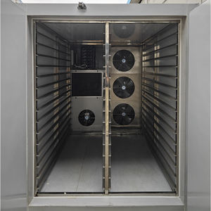 Équipement de séchage de mangues de l'usine de Guangzhou, machine de transformation de mangues séchées et déshydratées - Product Image 2