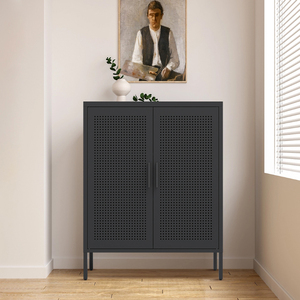 <b>Metal</b> Storage <b>Cabinet</b> 2 Doors 2 Adjustable Shelves Steel <b>File</b> <b>Cabinet</b> for Home Office - Product Image 3