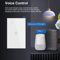 Interrupteur mural intelligent standard AU 10A, contrôle vocal WiFi Smart Life, contrôle tactile, automatisation domestique