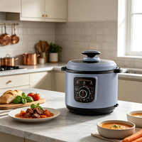 Cuisinière à pression électrique populaire de 5 L, décompression automatique, pot multifonction pour les repas quotidiens en famille