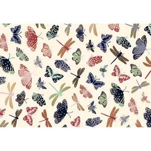 กระดาษม้วน stewo jelva 50M X 250M 80g/m² - Product Image 1