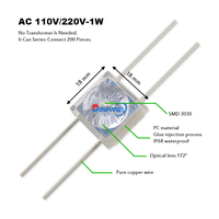 Module LED Mini DiWei de Haute Qualité Smd3030, Lampe Simple 1W, Haute Luminosité, AC 220V/110V, Étanche IP68, Ra80, 10000K, Garantie 3 Ans