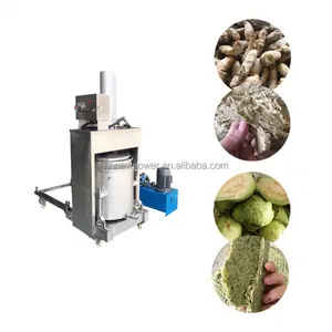ice grape press machine ice grape wine making pressing vegetable juice squeezing extractor price