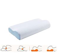 Oreiller cervical ergonomique en mousse à mémoire de forme pour oreiller orthopédique en soie de glace couverture en bambou Contour lit cou oreiller plante florale solide