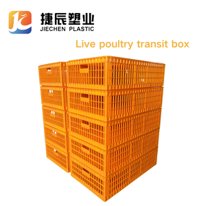 Gabbie Lunghe in Plastica Arancione per Polli, Stampate a Iniezione, per Trasporto Pollame Vivo con Coperchio - Product Image 1