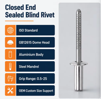 Rivets à tête fraisée plate en acier inoxydable SUS304, rivets aveugles industriels à extrémité ouverte, rivets à tête CSK