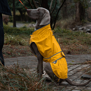 <span class=keywords><strong>Impermeabile</strong></span> personalizzato per cani da compagnia autunno e inverno giacca <span class=keywords><strong>impermeabile</strong></span> per cani da esterno cappotto per cani di taglia grande e media - Product Image 6