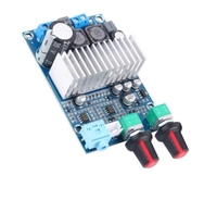 Carte d'amplification de subwoofer TPA3116D2, amplificateur audio numérique mono DC 12-24V, carte d'amplification de puissance pour l'audio domestique, les haut-parleurs de voiture, le bricolage