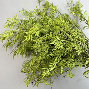 LO-1102 <span class=keywords><strong>Plantes</strong></span> artificielles en caoutchouc souple, feuilles de pampa persan, fougère et sélaginelle, pour la décoration intérieure et les arrangements floraux en salle d'exposition - Product Image 3