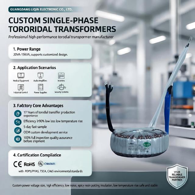 Single-Phase 250VA Toroidal Power Transformer 120V 48V 6.25A Iron Core Converter Copper Material Single Phass Power Supply