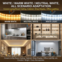 Bandes lumineuses LED, ruban LED, lumières LED, 220V, branchement direct, 8mm, 120 LED/m, CRI élevé Ra80, 12W/m, éclairage de placard, lumières LED DDID