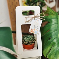 Boîte cadeau personnalisable en papier kraft stratifié pour fleurs, support pour plantes succulentes en pot, boîte d'emballage pour plantes vertes avec poignée, idéale pour offrir à un ami