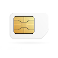 Carte SIM M2M en itinérance internationale non fusionnée Carte SIM pour caméra GPS Tracker Test de téléphone portable ou de machine