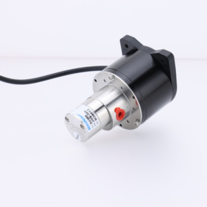 Bomba de Agua de Acero Inoxidable SUS316L para Transferencia de Fluidos Industriales, Motor GQA095ESLB01, Bomba Dosificadora Económica y Compacta - Product Image 1