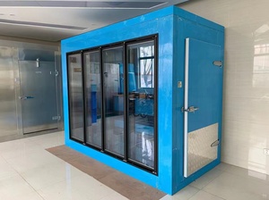 Tùy chỉnh được thiết kế đi bộ Trong Hầm rượu vang với nhiệt độ và độ ẩm điều khiển đi bộ trong kho lạnh phòng - Product Image 4