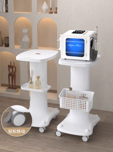 Carro de herramientas para centro de belleza con cesta de almacenamiento y ruedas giratorias, venta al por mayor de fábrica, gran éxito de ventas - Product Image 2