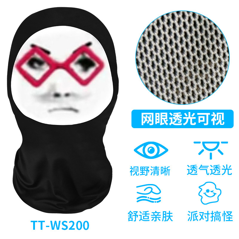 TT-WS200