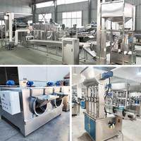 Machine de transformation du beurre de karité, de cacao, d'amande et de noix, ligne de production de broyeur commercial pour l'industrie du houmous