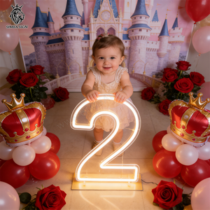 Numéros LED néon en acrylique de 2 et 3 pieds, Décoration d'anniversaire 10 ans, Enseigne néon pour décorations de fêtes d'anniversaire 18, 2, 15, 21, 10 ans - Product Image 3